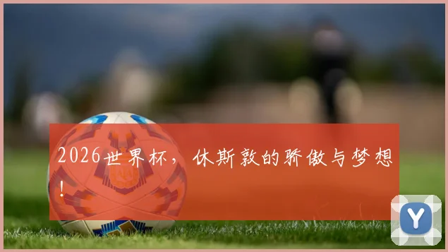 2026世界杯，休斯敦的骄傲与梦想！