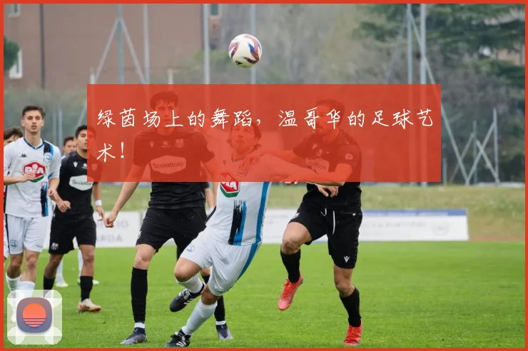 绿茵场上的舞蹈,温哥华的足球艺术!