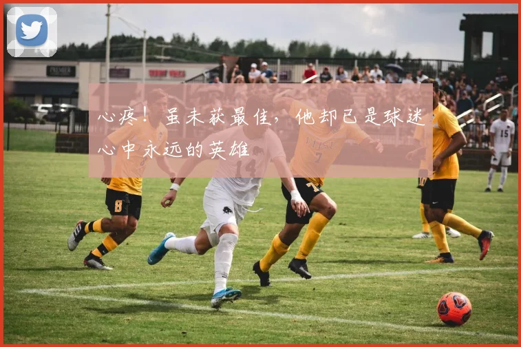 心疼!虽未获最佳,他却已是球迷心中永远的英雄